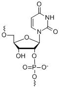 Bio-Synthesis Inc. Oligo Structure